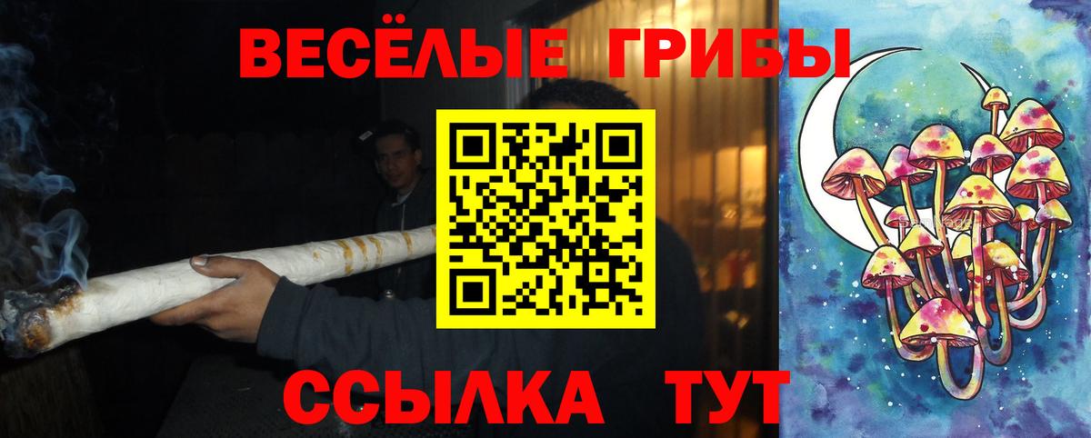 Большой Камень  Галлюциногенные грибы Psilocybe  Вход с VPN  Галлюциногенные грибы ЛСД 
