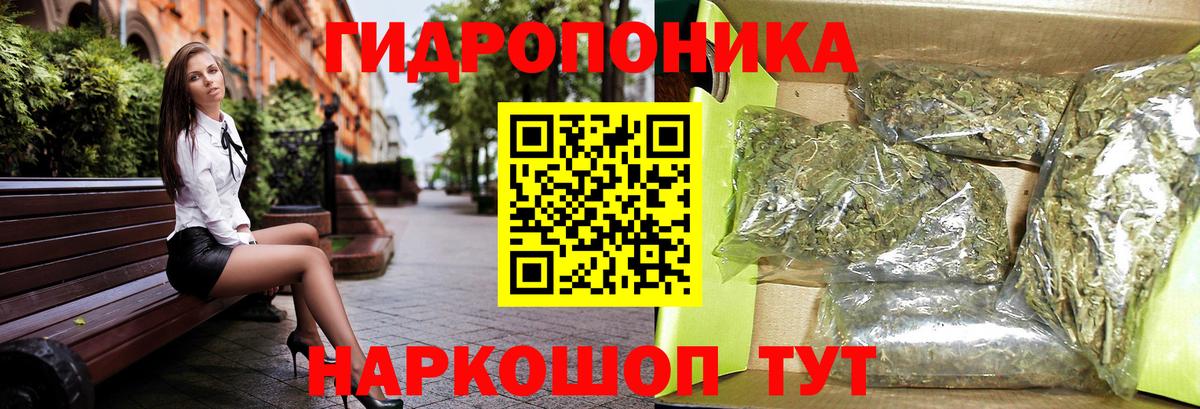 МАРИХУАНА сатива Большой Камень